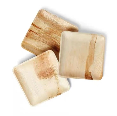 Disposable Biodegradable 6 8 10 Palm Leaf Square Plates